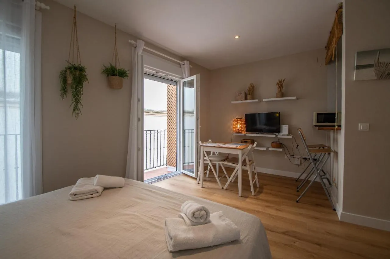 Apartment El Estudio De La Rosa Cadiz Spain